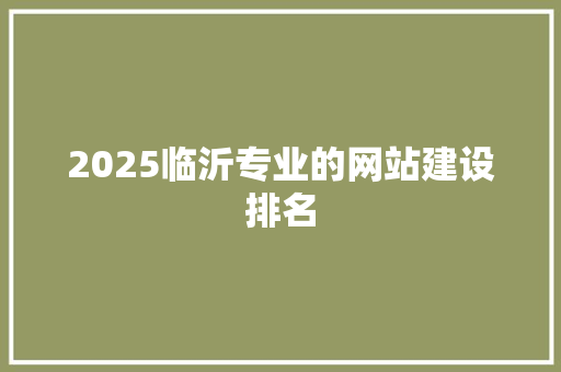 2025临沂专业的网站建设排名