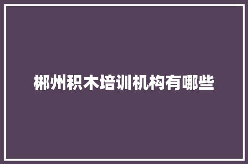 郴州积木培训机构有哪些