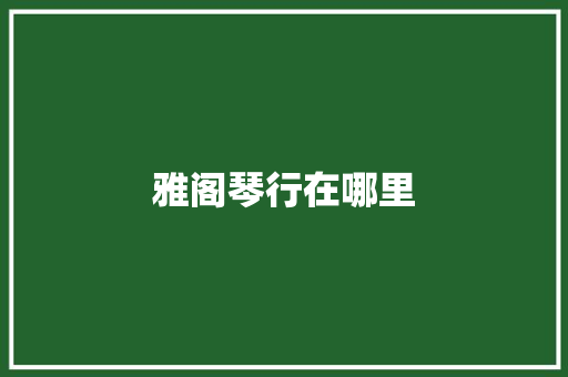 雅阁琴行在哪里 演讲稿范文