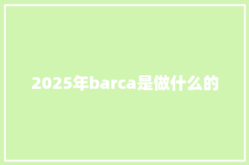 2025年barca是做什么的