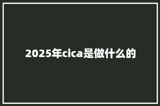 2025年cica是做什么的