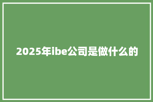 2025年ibe公司是做什么的
