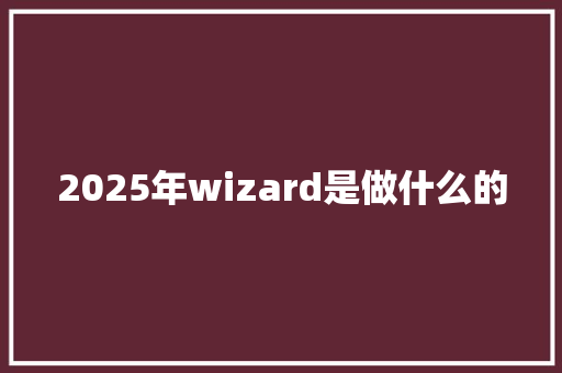 2025年wizard是做什么的