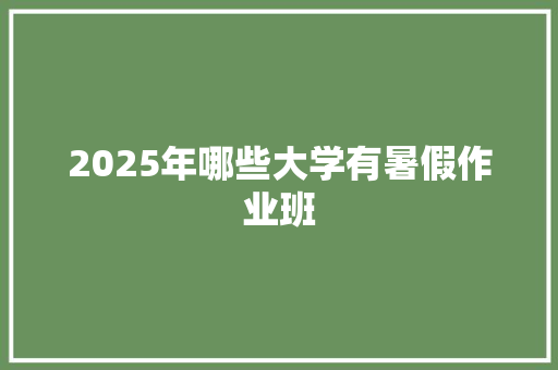 2025年哪些大学有暑假作业班