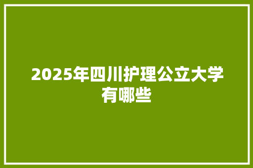 2025年四川护理公立大学有哪些
