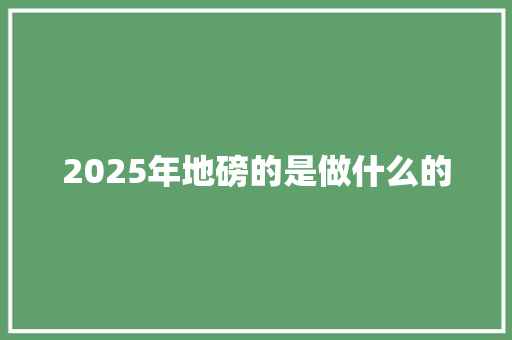 2025年地磅的是做什么的