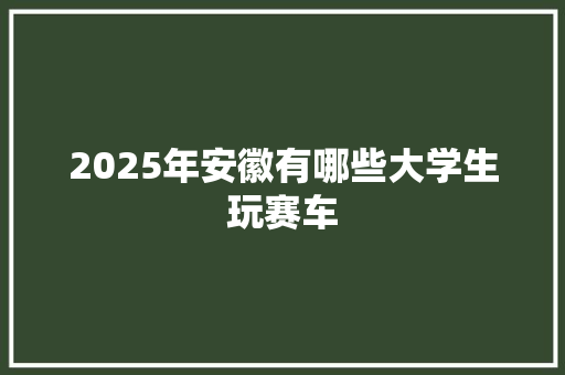 2025年安徽有哪些大学生玩赛车