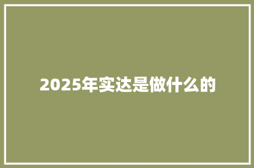 2025年实达是做什么的