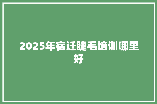 2025年宿迁睫毛培训哪里好