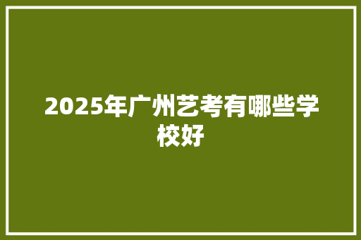 2025年广州艺考有哪些学校好 职场应用