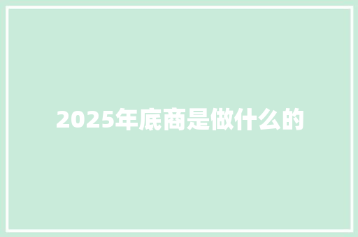 2025年底商是做什么的