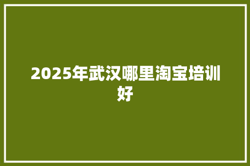2025年武汉哪里淘宝培训好