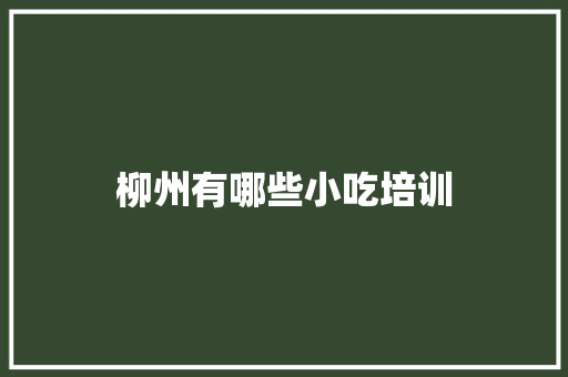 柳州有哪些小吃培训