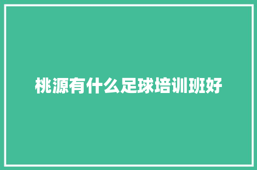 桃源有什么足球培训班好