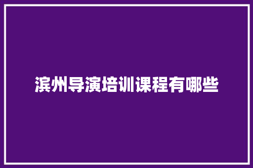 滨州导演培训课程有哪些 职场应用