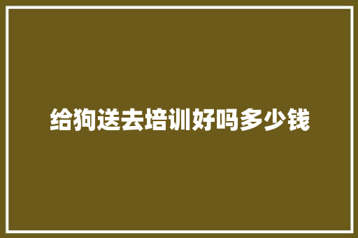 给狗送去培训好吗多少钱