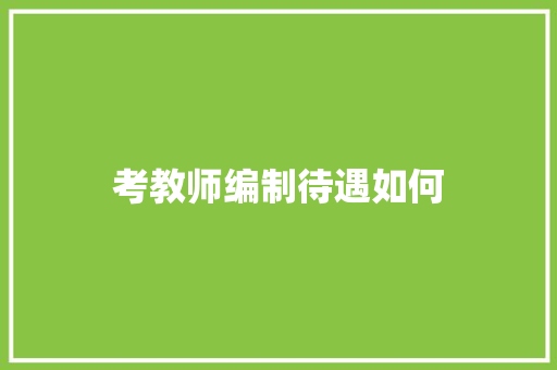 考教师编制待遇如何
