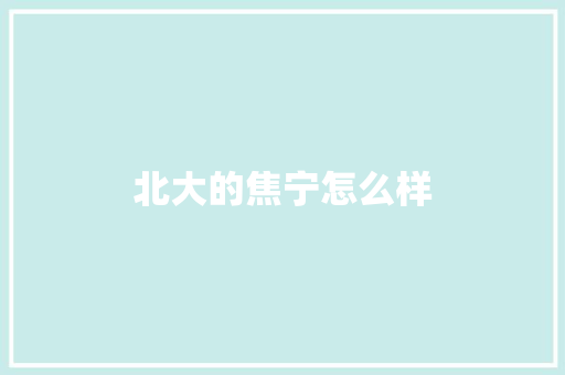 北大的焦宁怎么样