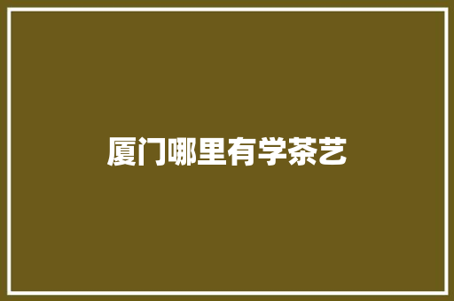 厦门哪里有学茶艺