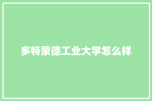 多特蒙德工业大学怎么样