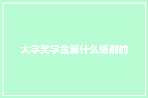 大学奖学金算什么级别的