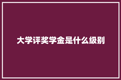 大学评奖学金是什么级别