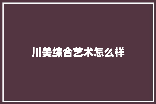 川美综合艺术怎么样