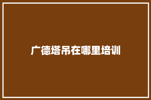 广德塔吊在哪里培训