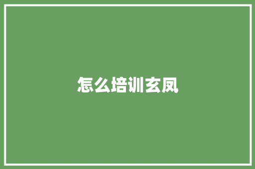 怎么培训玄凤