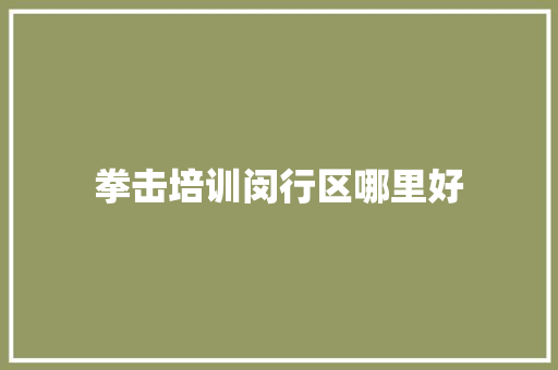 拳击培训闵行区哪里好