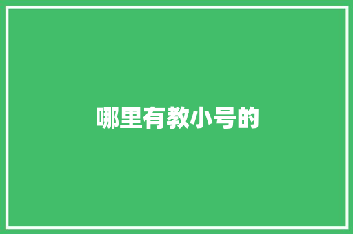 哪里有教小号的