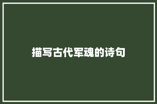 描写古代军魂的诗句