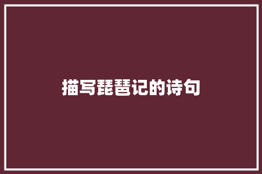 描写琵琶记的诗句 科技报告范文