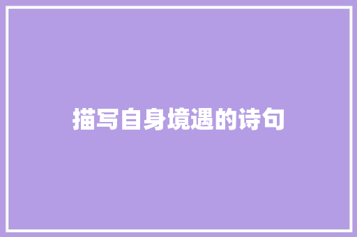 描写自身境遇的诗句