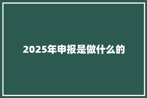 2025年申报是做什么的