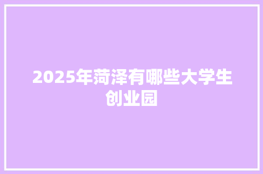 2025年菏泽有哪些大学生创业园