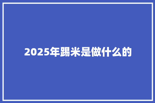 2025年踢米是做什么的