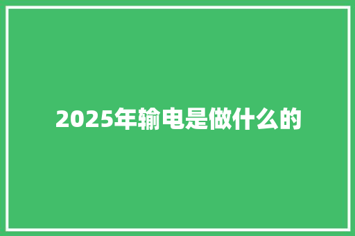 2025年输电是做什么的