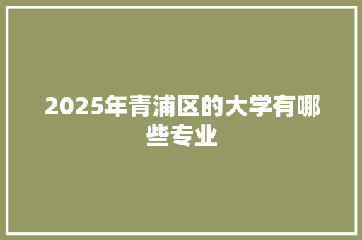 2025年青浦区的大学有哪些专业