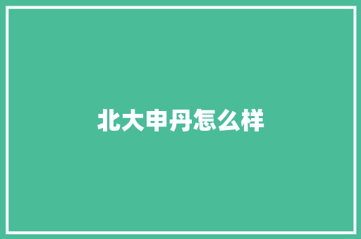 北大申丹怎么样