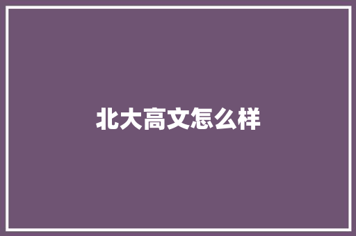 北大高文怎么样