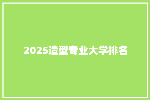 2025造型专业大学排名