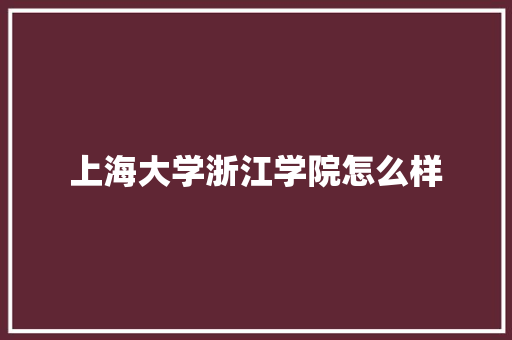 上海大学浙江学院怎么样