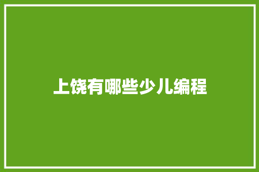 上饶有哪些少儿编程
