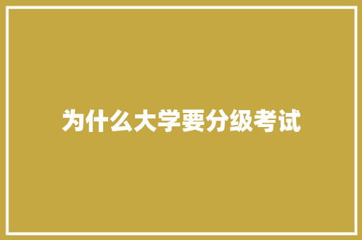 为什么大学要分级考试 职场应用