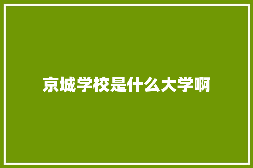 京城学校是什么大学啊