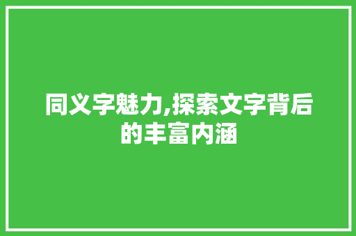 同义字魅力,探索文字背后的丰富内涵 科技报告范文