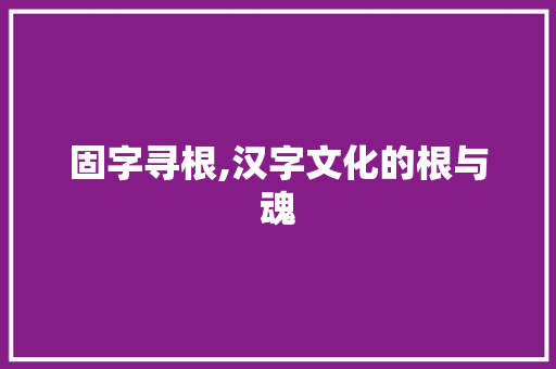 固字寻根,汉字文化的根与魂