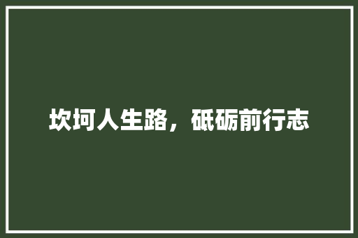 坎坷人生路，砥砺前行志 科技报告范文