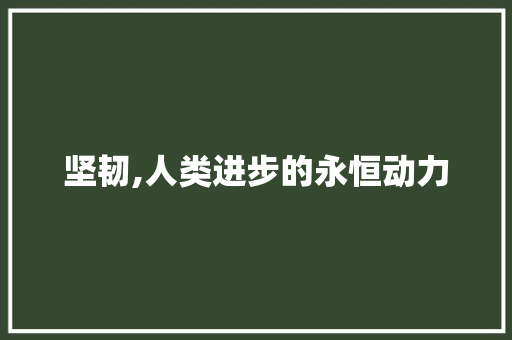坚韧,人类进步的永恒动力